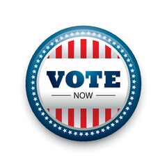 USA vote button badge