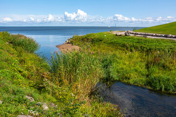 Fototapeta na wymiar Peterhof, the coast of the Gulf of Finland