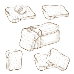 set of drawn sliced bread and toasts illustration isolated on white. wheat rye or whole grain square loaf with various bread slices. sandwich icons collection. vintage engraved sketch. clip art.