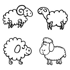 Basic countur of sheeps on white