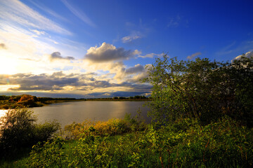 Naklejka premium Beautiful summer sunset on the lake. Summer morning. Awakening of nature.