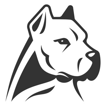 White Dogo Argentino, stylized vector illustration