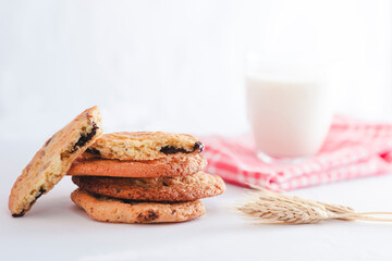 Stacked home made cookie view with a glass of milk and wheat spike studio shot