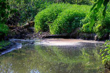 De la pollution dans la rivière