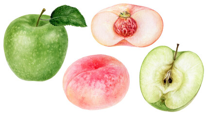 Green apple flat donut peach watercolor illustration isolated on white background