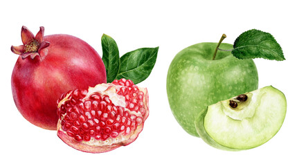 Green apple pomegranate watercolor illustration isolated on white background