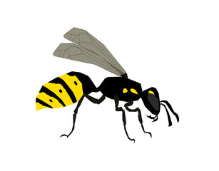Wasp side view vector isolated illustration
