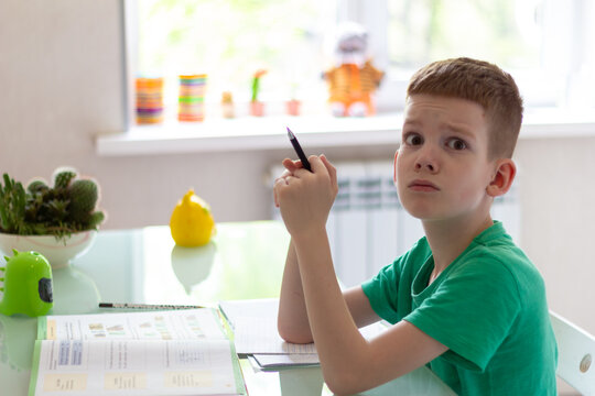Distance learning online education. Schoolboy studying at home and doing school homework. Sitting chair with training books