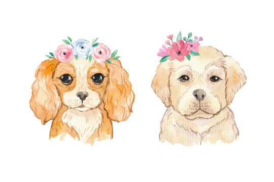 Watercolor dogs Labrador and Cavalier king spaniel portraits with floral wreaths of blooming flowers. Hand painted puppy illustration isolated on white background. Cute animals pet for fashion design.