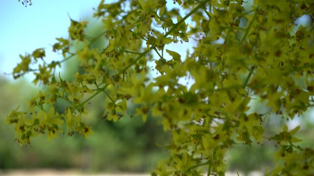 Naturaleza