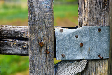 Fragment of an old wooden fence with metal attachment, close-up. Dilapidated village fence with rusty nails.