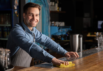 Smiling barman with rag in his hands, behind the rack in interior of pub - Powered by Adobe