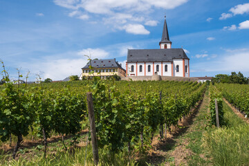 The St. Peter and Paul church in Hochheim am Main / Germany
