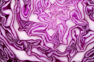 Red Cabbage cut, with inner patterns of folded leaves visible