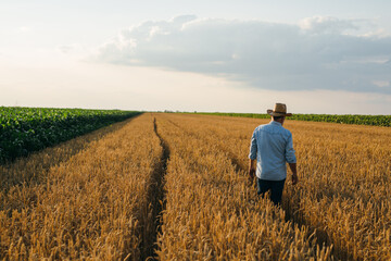 farmer walking on through wheat field © cherryandbees
