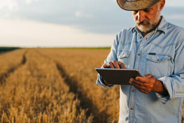 farmer using tablet standing in wheat field