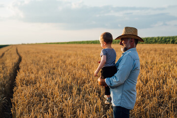 Naklejka na ściany i meble farmer holding his grandson standing in wheat field