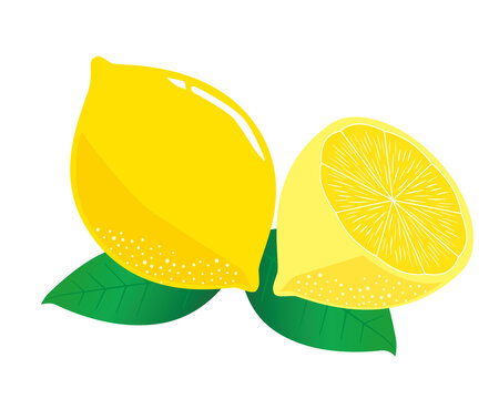 3 590 Best 柑橘系 Images Stock Photos Vectors Adobe Stock 3 590 Best 柑橘系 Images Stock Photos Vectors Adobe Stock
