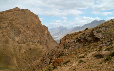 View across Himalayas and Spiti river in distance, Himachal Pradesh, India.