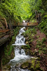 Foto op Canvas Bridge and Waterfall at Dr.-Vogelgesang-Klamm Gorge near Spital am Pyhrn, Upper Austria © Stefan