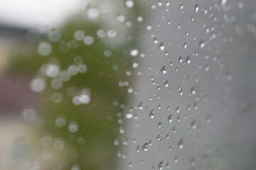 Summer gray rainy day