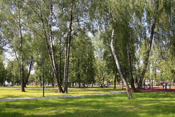 In the city park on a sunny summer day.