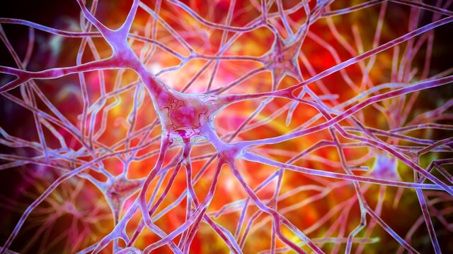 Neurons, human brain cells, 3D illustration. Human nervous system