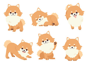 The collection of pomeranian dog in many action. Graphic resource about set of dogs pomeranian for graphic, content, etc. 