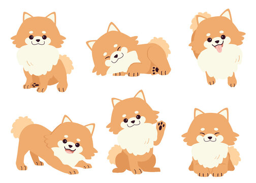 The collection of pomeranian dog in many action. Graphic resource about set of dogs pomeranian for graphic, content, etc. 