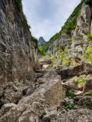 Romania, Bucegi Mountains, Malin Valley