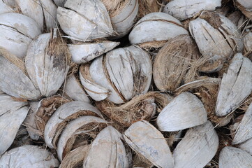 The coconut husk that has been left on the ground is suitable for the background.