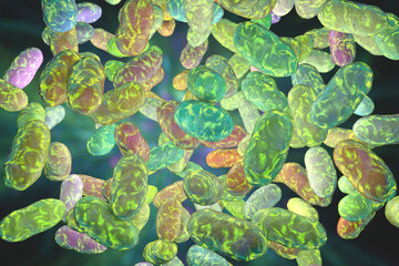Obraz na płótnie Canvas Porphyromonas gingivalis bacteria