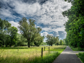 Pathway along river Main in Germany