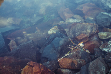 Nature background with many stones on bottom of mountain lake with clear water. Natural texture of stony lake bottom. Full frame of stone pile closeup in calm water. Rocks in transparent water.