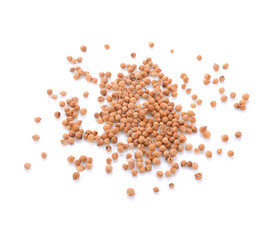 Coriander seeds isolated on white background