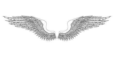 Black and white hand-drawn wings