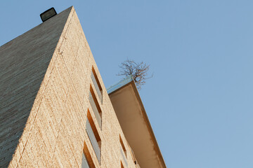 A tree  growing on the balcony of a multi-story building in the light of the rays of the setting sun in the Mamila quarter in Jerusalem, Israel
