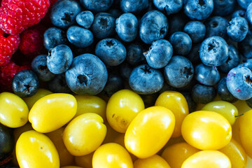 Mix of yellow and blue berries. Summer mick fruit. Berry layout