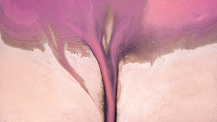 Scenic colorful Pink Salt Lake in Ukraine. unusual color cause of an algae with red pigments.  Amazing seascape.