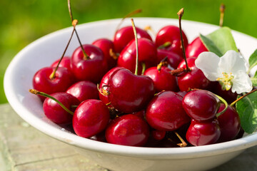 Ripe cherries on a plate close up against the background of fresh grass