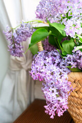 blooming lilac in a wicker basket near the window close up