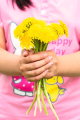 a bouquet of dandelions in the hands on the background of pink pajamas