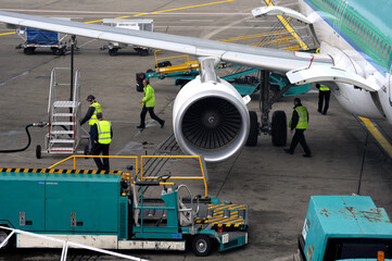 Colosseum plain view, no people under a clear sky