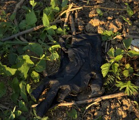 Gloves in the grass
