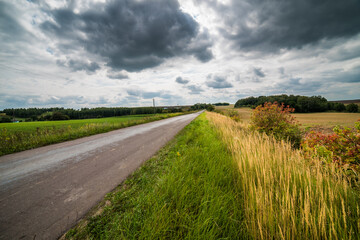 Road in a field under thunder clouds.