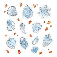 Illustration with set of cute watercolor and linework blue seashells on white background. Hand drown marine artwork with small orange stones around. Ocean beach elements for your design, blog, print