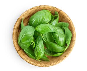 Fresh basil leaf in wooden bowl isolated on white background with clipping path and full depth of field. Top view. Flat lay