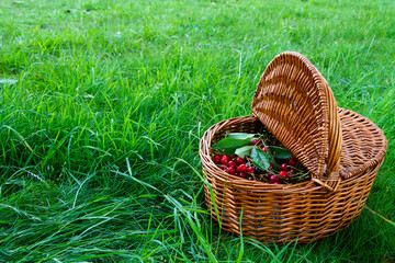 a wooden basket on grass full of cherries