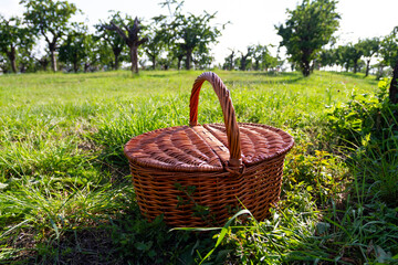 a wooden basket on grass 