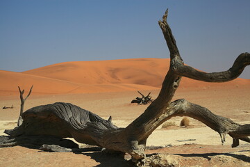 Namibia, Namib Desert, Dune 45